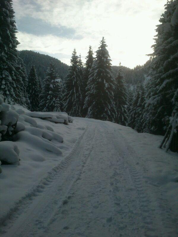Pension Alpenstern Оберау Экстерьер фото